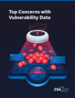 Top Concerns With Vulnerability Data